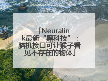 Neuralink最新“黑科技”：脑机接口可让猴子看见不存在的物体