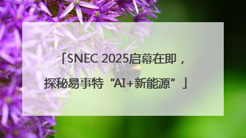 SNEC 2025启幕在即，探秘易事特“AI+新能源”