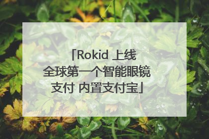 Rokid 上线全球第一个智能眼镜支付 内置支付宝
