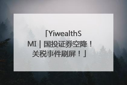 YiwealthSMI｜国投证券空降！关税事件刷屏！